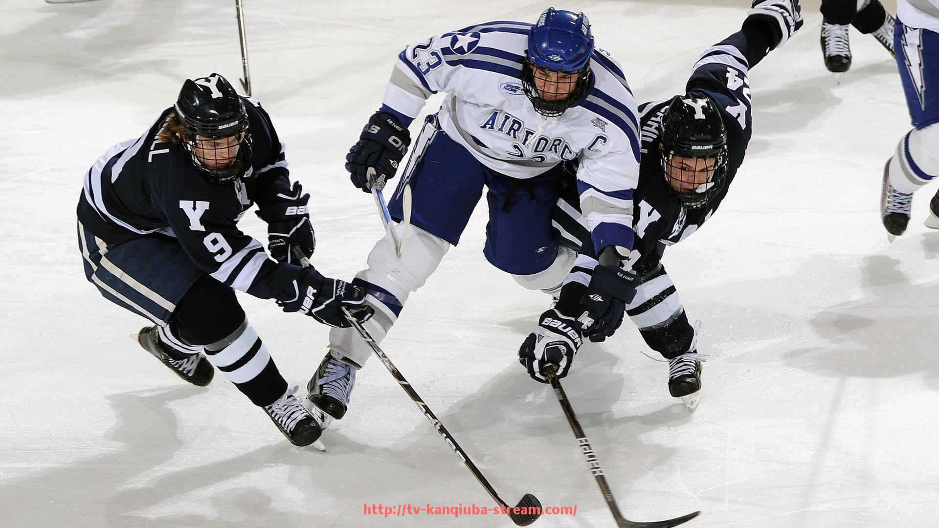 看球吧直播-市面上常见的健身器材品牌排行榜推荐